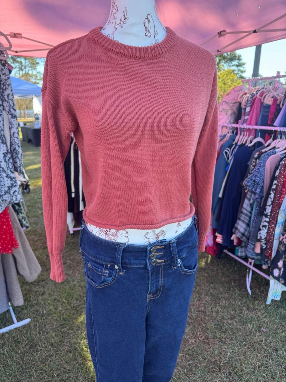 zeagoo Cropped Crewneck Sweater in Rose
